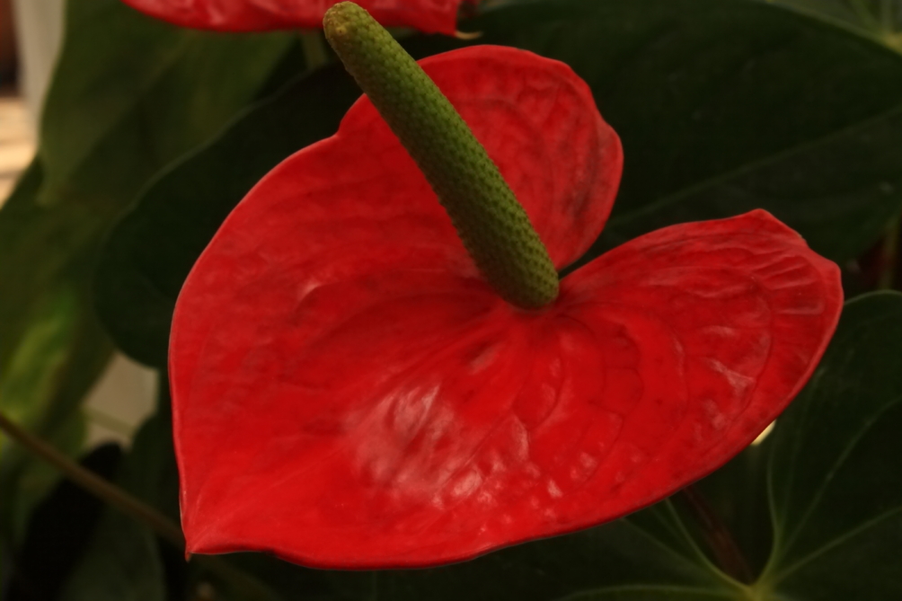 2011 04 26 IMG 28797